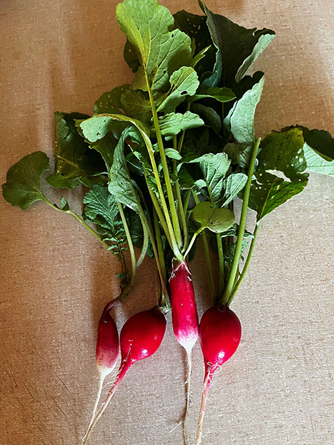 Ravishing radishes